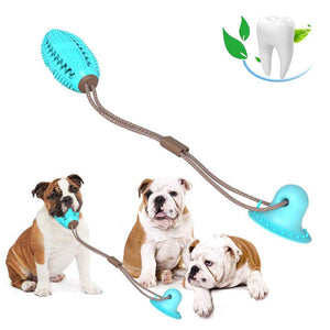 Tooth Cleaning Dog Toothbrush