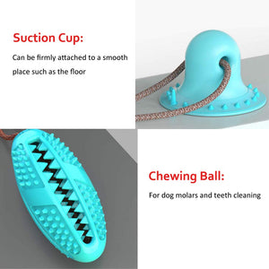 Tooth Cleaning Dog Toothbrush